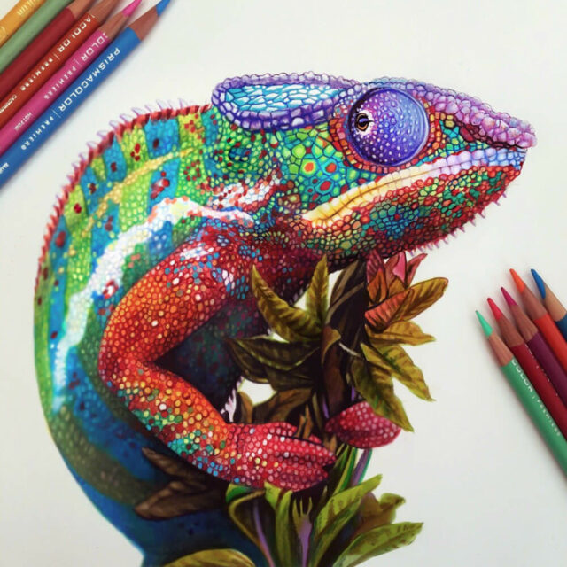 Lápices de Color Artísticos Prismacolor Premier Camaleon