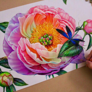 Lápices de Color Artísticos Prismacolor Premier Flor