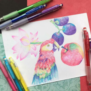 Portaminas Borrables 0.7 PILOT Color ENO Ilustración