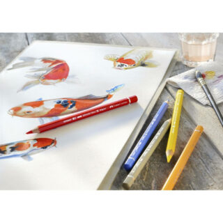 Lápices de Color Acuarelables Calidad Profesional Faber-Castell Albrecht Dürer MAGNUS Acuarela