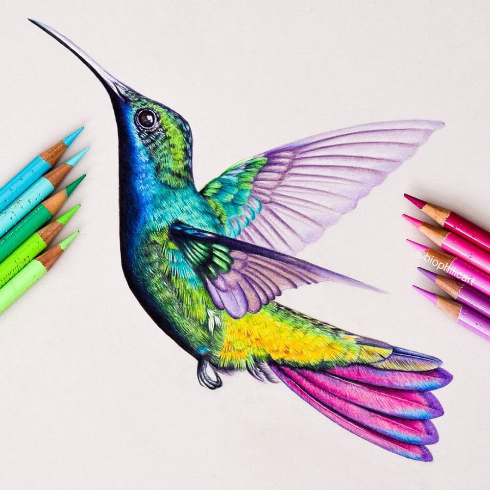 Lápices de Colores Calidad Profesional para Artistas Faber Castell Polychromos Colibrí Volando