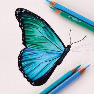 Lápices de Colores Calidad Profesional para Artistas Faber Castell Polychromos Mariposa