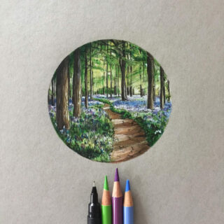 Lápices de Colores Calidad Profesional para Artistas Faber Castell Polychromos Paisaje