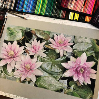 Lápices de Colores Calidad Profesional para Artistas Faber Castell Polychromos Pond