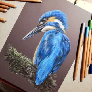 Lápices Tiza Pastel para Bellas Artes CRETACOLOR Ave