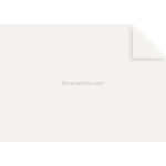 Papel Mantequilla, para Hornear Comida, Antigrasa, Pliego de 70 x 100 cm, 37 g/m², MADISON