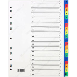 Paquete Separadores de Plástico Tamaño Carta - A4 (1 a 20)
