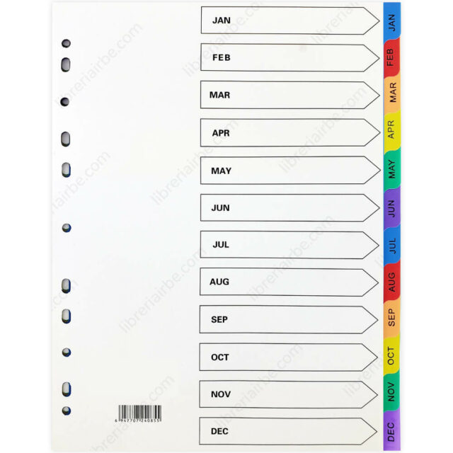 Paquete Separadores de Plástico Tamaño Carta - A4 Mensual