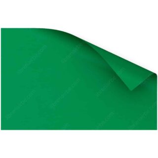 Pliego Cartulina Escolar 180 g (65 x 100 cm) Verde