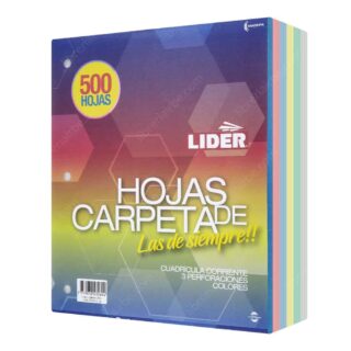 Paquete 500 Hojas de Carpeta de 3 Orificios con Cuadrícula 5 mm LIDER - Multicolor Nuevo