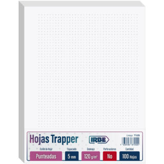 Hojas Trapper IRBE, Tamaño Carta, Paquete de 100, Sin Perforaciones, 120 g-m², Punteadas