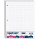 Hojas Trapper IRBE, Tamaño Carta, Paquete de 100, con 3 Perforaciones, Papel de 120 g/m², Punteadas