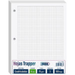 Hojas Trapper IRBE, Tamaño Carta, Paquete de 100, con 3 Perforaciones, Papel de 75 g/m², Cuadriculadas, 4 mm (Intermedio)