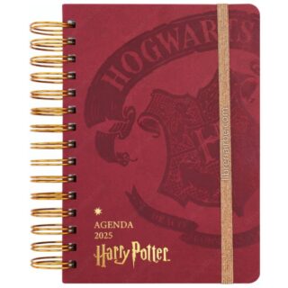 Agenda Especial Mooving 2025, Anillada, Tamaño 14 x 20 cm, Día por Página – Harry Potter